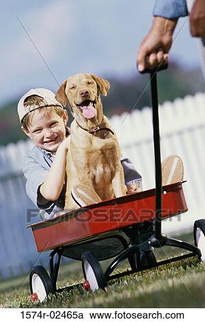 Portrait of boy sitting in a toy wagon with his dog View Large Photo Image Stock Image - Portrait of boy sitting in a toy wagon with his dog. Fotosearch