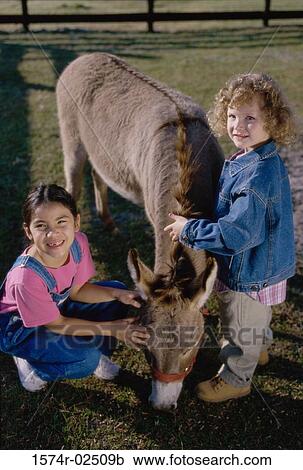 Portrait of two girls petting a donkey View Large Photo Image Stock Image - Portrait of two girls petting a donkey. Fotosearch