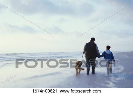 Rear view of a father and his son walking with their dog on the beach View Large Photo Image Stock Image - Rear view of a father and his son walking with their dog on the beach. Fotosearch