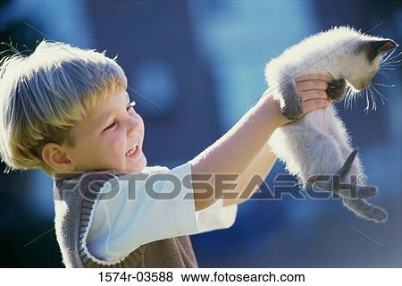 Side profile of a boy carrying a Siamese kitten View Large Photo Image Stock Photo - Side profile of a boy carrying a Siamese kitten. Fotosearch