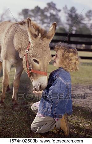 Side profile of a girl feeding a donkey View Large Photo Image Stock Image - Side profile of a girl feeding a donkey. Fotosearch