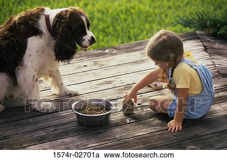 Side profile of a girl feeding her dog View Large Photo Image Stock Image - Side profile of a girl feeding her dog. Fotosearch