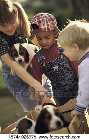 Two boys and a girl playing with puppies View Large Photo Image Stock Image - Two boys and a girl playing with puppies. Fotosearch