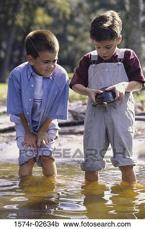 Stock Image - Two boys standing in water holding a turtle. Fotosearch