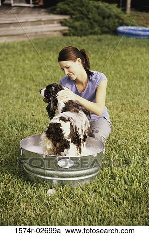 Young woman bathing her dog in a tub View Large Photo Image Stock Image - Young woman bathing her dog in a tub. Fotosearch