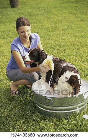 Young woman washing her dog View Large Photo Image Stock Image - Young woman washing her dog. Fotosearch