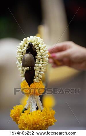 Close-up of religious offering, Bangkok, Thailand View Large Photo Image Stock Image - Close-up of religious offering, Bangkok, Thailand. Fotosearch