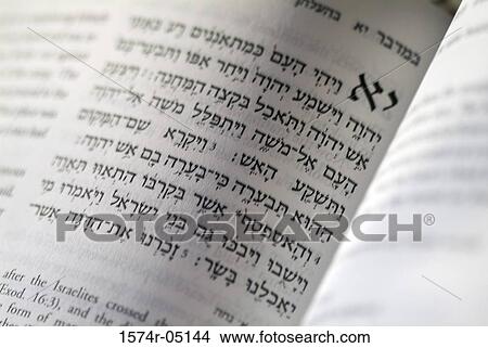 Close-up of text in the Torah View Large Photo Image Picture - Close-up of text in the Torah. Fotosearch