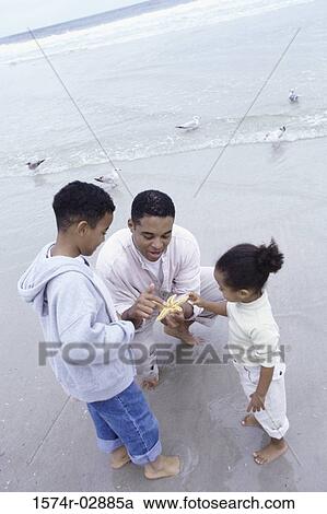 Stock Image - Father showing his son and daughter a starfish on the beach. Fotosearch