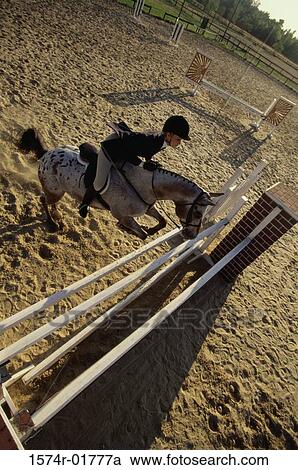 High angle view of a woman riding a horse over a hurdle View Large Photo Image Stock Image - High angle view of a woman riding a horse over a hurdle. Fotosearch