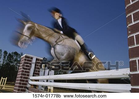 Low angle view of a woman riding a horse over a hurdle View Large Photo Image Stock Image - Low angle view of a woman riding a horse over a hurdle. Fotosearch