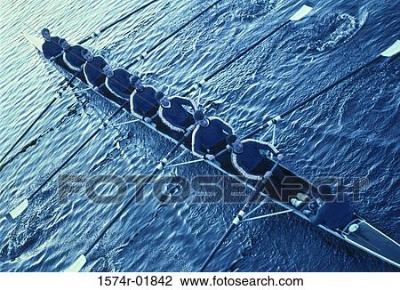 Team sport rowing View Large Photo Image Stock Image - Team sport rowing. Fotosearch