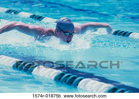 Stock Image - Young man swimmer doing the butterfly stroke. Fotosearch