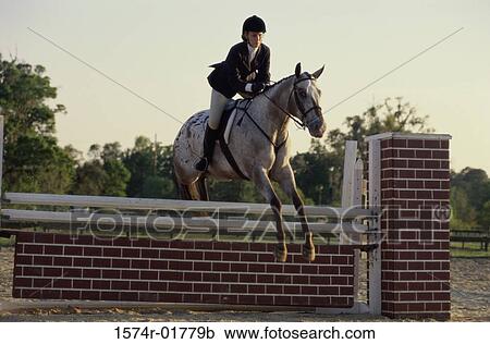 Young woman riding a horse over a hurdle View Large Photo Image Stock Image - Young woman riding a horse over a hurdle. Fotosearch