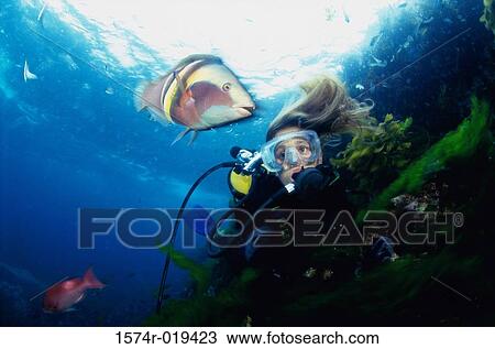 Close-up of a female scuba diver underwater View Large Photo Image Stock Image - Close-up of a female scuba diver underwater. Fotosearch