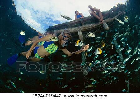 Low angle view of a woman snorkeling underwater View Large Photo Image Stock Image - Low angle view of a woman snorkeling underwater. Fotosearch