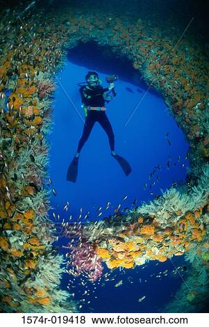 Stock Photo - Scuba diver underwater. Fotosearch