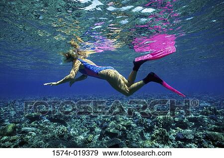 Side profile of a scuba diver swimming underwater View Large Photo Image Stock Photo - Side profile of a scuba diver swimming underwater. Fotosearch