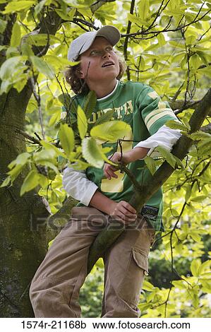 Close-up of a boy sitting on a branch View Large Photo Image Stock Image - Close-up of a boy sitting on a branch. Fotosearch