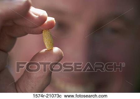 Close-up of a mature man showing a pill View Large Photo Image Stock Image - Close-up of a mature man showing a pill. Fotosearch