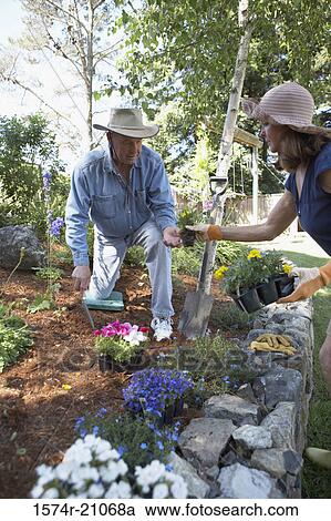 Side profile of a mature woman giving a potted plant to a mature man in a garden View Large Photo Image Stock Image - Side profile of a mature woman giving a potted plant to a mature man in a garden. Fotosearch