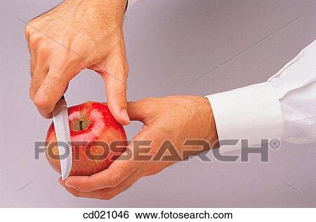 activity, Close-up, chef, apple, action View Large Photo Image Stock Photograph - activity, Close-up, chef, apple, action. Fotosearch