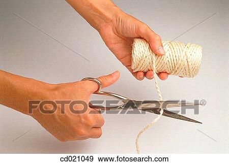 Stock Photo - activity, cut, cord, action. Fotosearch