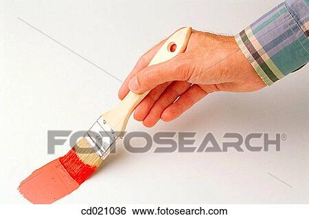 activity, detail, brush, action View Large Photo Image Stock Photograph - activity, detail, brush, action. Fotosearch