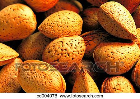Almonds View Large Photo Image Stock Photo - Almonds. Fotosearch