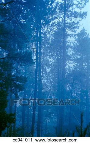 Stock Image - Alto de Udana. O±ate. Guip·zcoa. Spain. Fotosearch