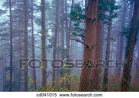 Stock Photography - Alto de Udana. O±ate. Guip·zcoa. Spain. Fotosearch