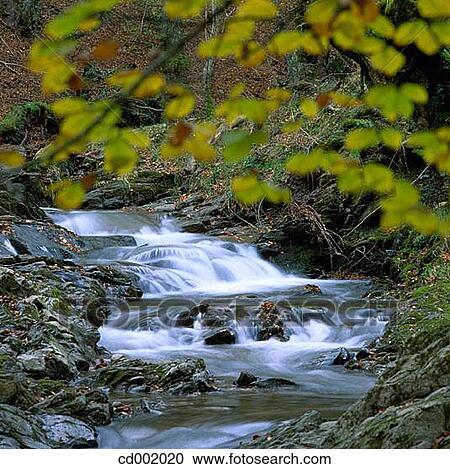 Stock Image - Alzania River. Otzaurte. Guip·zcoa. Spain. Fotosearch