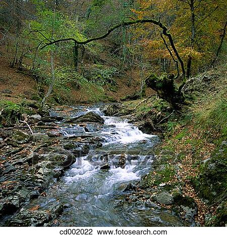 Alzania River. Otzaurte. Guip·zcoa. Spain View Large Photo Image Stock Image - Alzania River. Otzaurte. Guip·zcoa. Spain. Fotosearch
