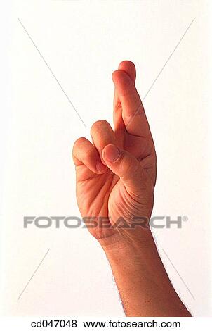 American Sign Language. Letter R View Large Photo Image Stock Photo - American Sign Language. Letter R. Fotosearch