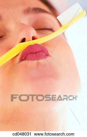 amusing, Close-up, brush, ability View Large Photo Image Stock Image - amusing, Close-up, brush, ability. Fotosearch
