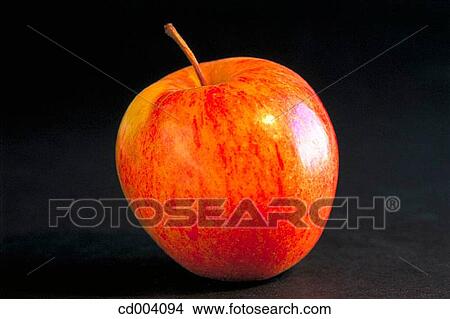 Apple View Large Photo Image Picture - Apple. Fotosearch