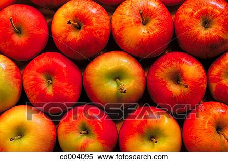 Stock Photography - Apples. Fotosearch