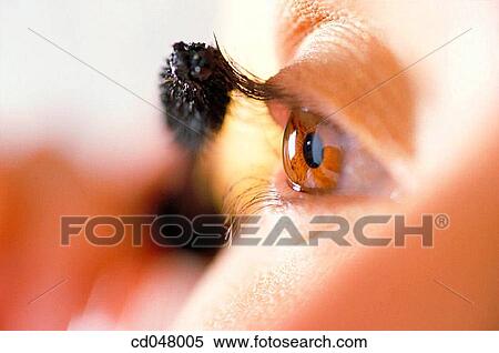 apply, Close-up, Beauty Care, beauty, activity View Large Photo Image Stock Photography - apply, Close-up, Beauty Care, beauty, activity. Fotosearch