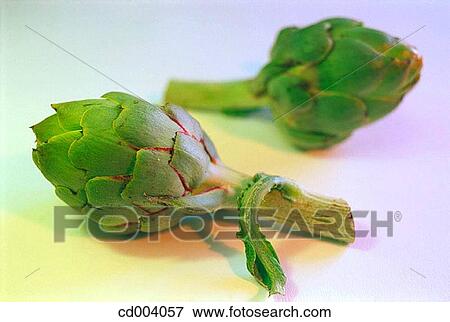 Artichokes View Large Photo Image Stock Photo - Artichokes. Fotosearch