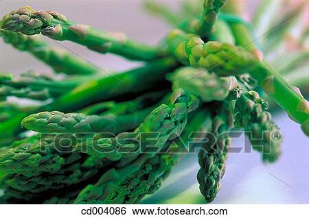 Asparagus View Large Photo Image Stock Photograph - Asparagus. Fotosearch