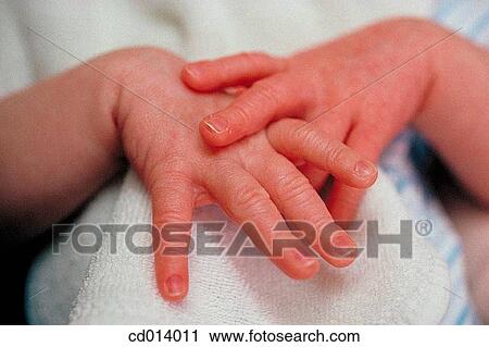 baby, body, Body part, child, Close-up View Large Photo Image Stock Image - baby, body, Body part, child, Close-up. Fotosearch