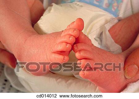 baby, body, Body part, child, Close-up View Large Photo Image Stock Image - baby, body, Body part, child, Close-up. Fotosearch