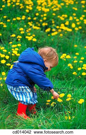 baby, boy, child, childhood View Large Photo Image Stock Image - baby, boy, child, childhood. Fotosearch