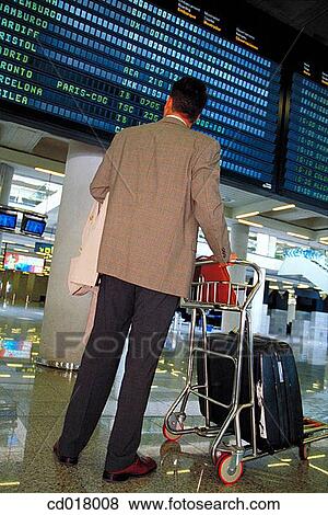back view, business, board, baggage, airport View Large Photo Image Stock Photo - back view, business, board, baggage, airport. Fotosearch