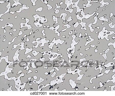 background, concept, chaos, black and white, abstract View Large Photo Image Stock Image - background, concept, chaos, black and white, abstract. Fotosearch