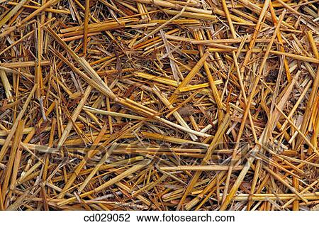 Stock Image - background, country, concept, Close-up, abstract. Fotosearch