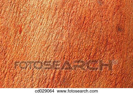 Picture - background, detail, concept, Close-up, abstract. Fotosearch