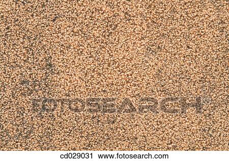 Stock Image - background, detail, concept, Close-up, abstract. Fotosearch