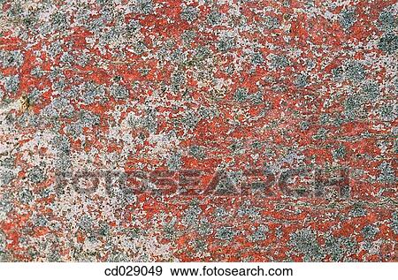 Stock Photo - background, detail, concept, Close-up, abstract. Fotosearch