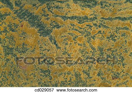 Stock Photo - background, detail, concept, Close-up, abstract. Fotosearch